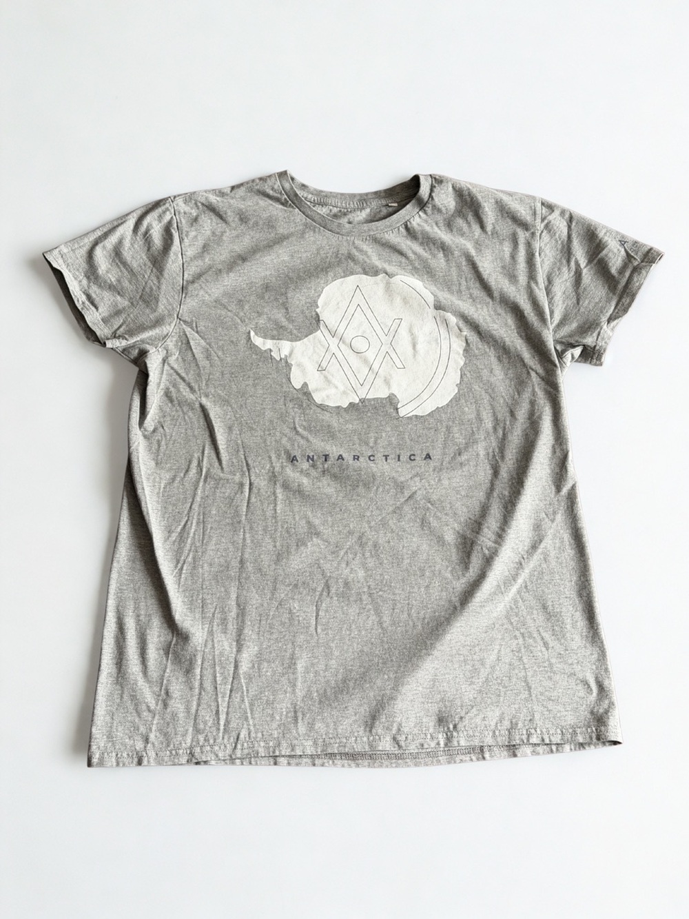 Antarctica Graphic Tee - Light Gray size L